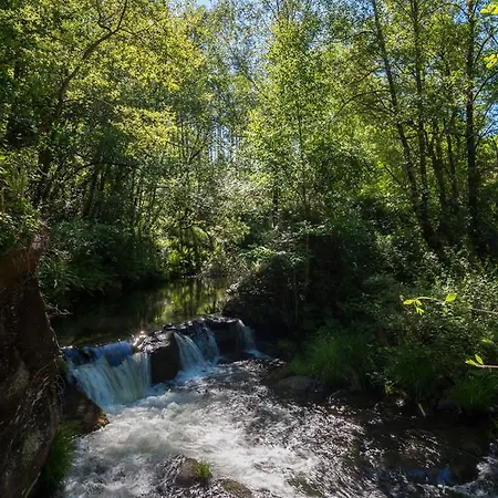 O Muino De Pena 3* O Pino
