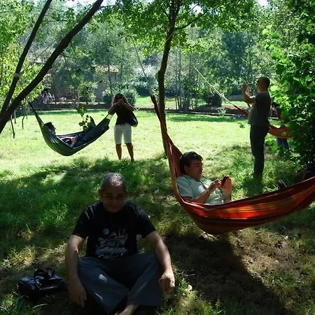 O Muino De Pena 3* O Pino