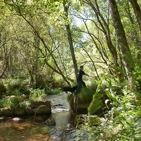 Pensionat O Muino De Pena