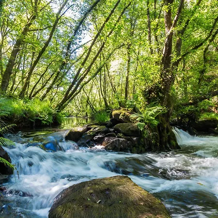 Pensionat O Muino De Pena 3*
