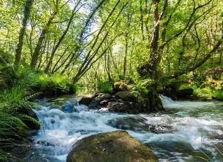 Pensionat O Muino De Pena 3*