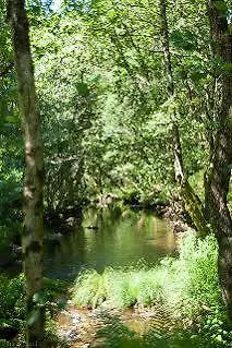 Pensionat O Muino De Pena