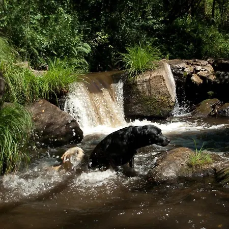 O Muino De Pena Vendégház