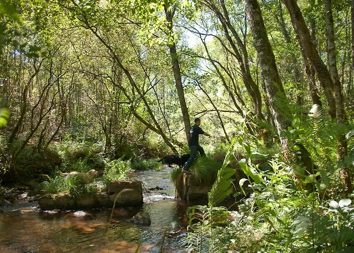 Πανσιόν O Muino De Pena